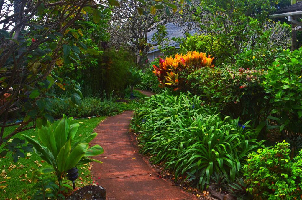 Banyan Tree B&B Retreat Makawao Dış mekan fotoğraf